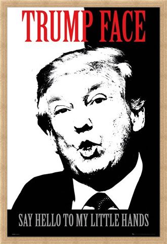 Framed Framed Say Hello To My Little Hands - Trump Face