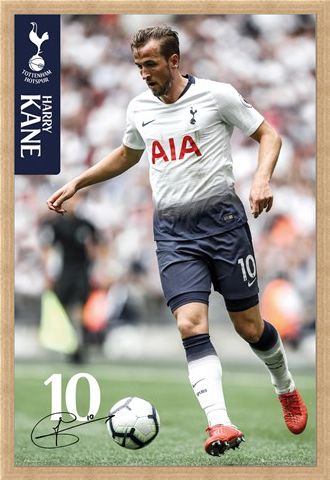 Framed Framed Kane 18-19 - Tottenham Hotspur