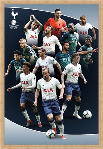 Framed Framed Players 18-19 - Tottenham Hotspur