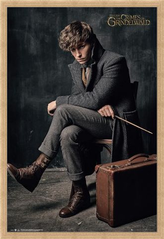 Framed Framed Newt Scamander - Fantastic Beasts 2