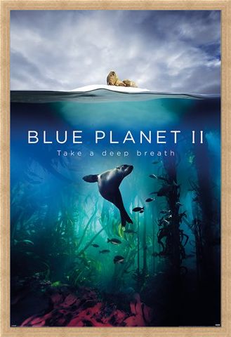 Framed Framed Take A Deep Breath - Blue Planet 2