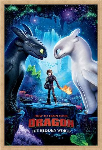 Framed Framed The Hidden World - How To Train Your Dragon