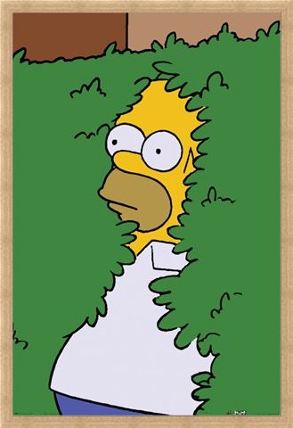 Framed Framed Homer Bush - The Simpsons