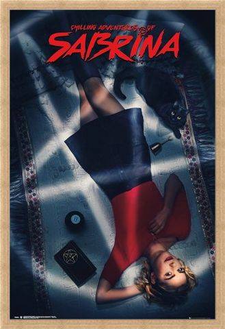 Framed Framed A Witch And Her Familiar - The Chilling Adventures Of Sabrina