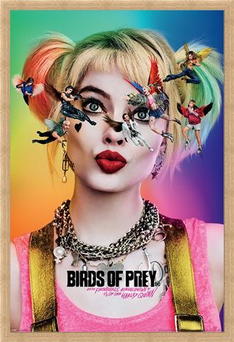Framed Framed Seeing Stars - Birds Of Prey