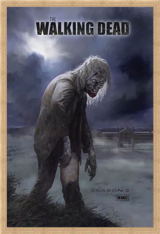 Framed Framed Flesh Eating Walker! - The Walking Dead
