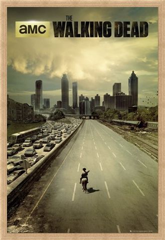 Framed Framed Andrew Lincoln Is Rick Grimes - The Walking Dead