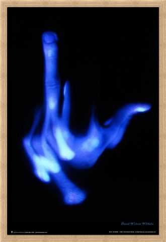 Framed Framed The Finger - David Wilhelm