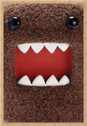 Framed Framed Extreme Close Up - Domo