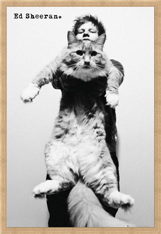 Framed Framed Fat Cat - Ed Sheeran