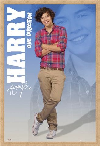 Framed Framed Harry - One Direction