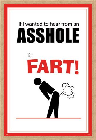 Framed Framed If I Wanted To Hear From An Asshole - I'd Fart