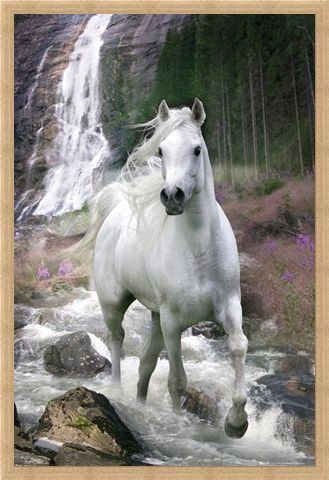 Framed Framed Horse in a Waterfall - Bob Langrish