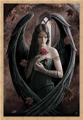 Framed Framed Angel Rose - Anne Stokes