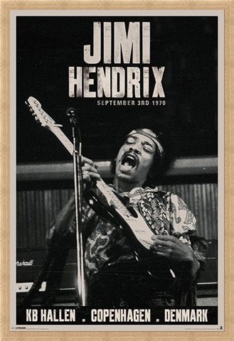 Framed Framed Live in Copenhagen - Jimi Hendrix