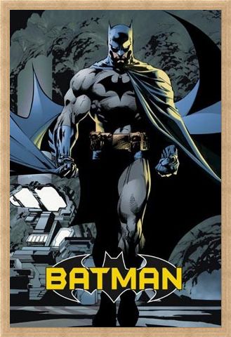 Framed Framed Batman - DC Comics