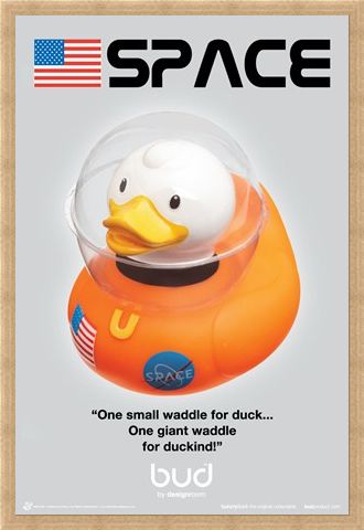 Framed Framed Space Duck - Bud Ducks