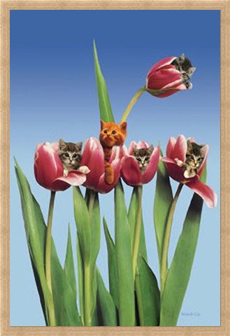 Framed Framed Kittens in Tulips - Cute Little Kittens
