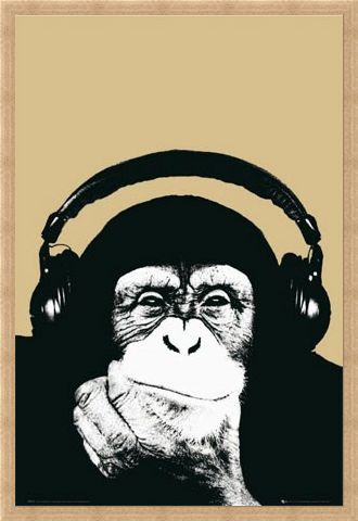 Framed Framed Monkey with Headphones - Steez