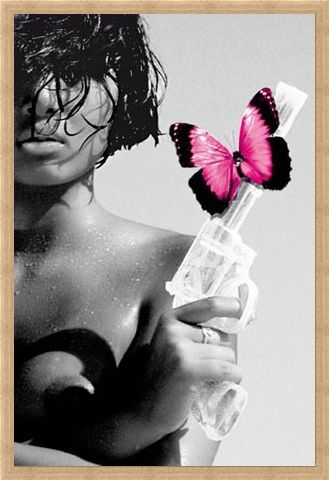 Framed Framed Killing me Softly - Dangerous Diva