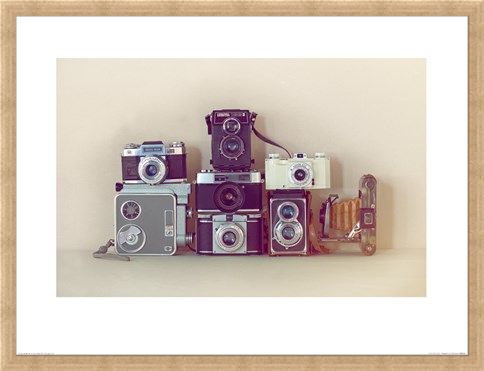 Framed Framed Camera Collection - Ian Winstanley