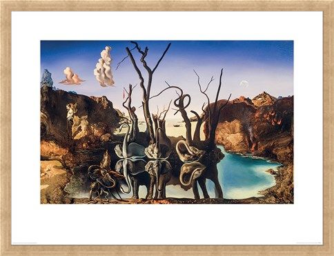 Framed Framed Swans Reflecting Elephants - Salvador Dali