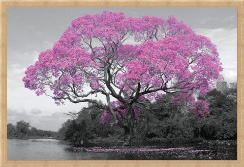 Framed Framed Tree In Bloom - Natural Pink