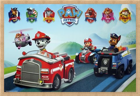 Framed Framed Puppy Vehicles - Paw Patrol
