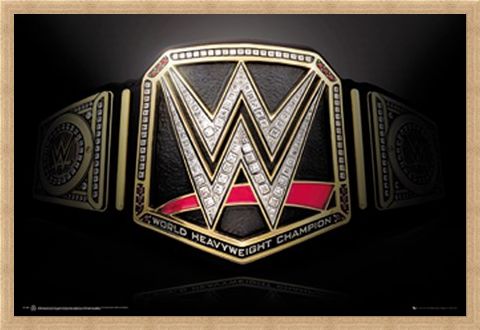 Framed Framed Title Belt - WWE