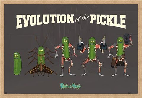 Framed Framed Evolution Of The Pickle - Rick and Morty