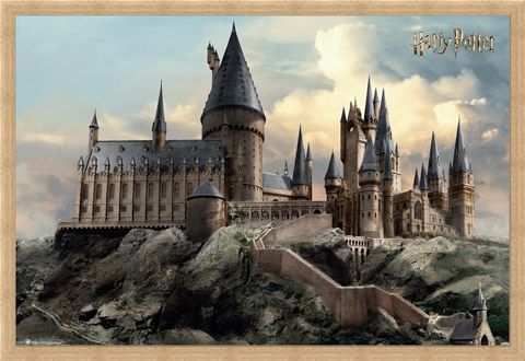 Framed Framed Hogwarts Day - Harry Potter