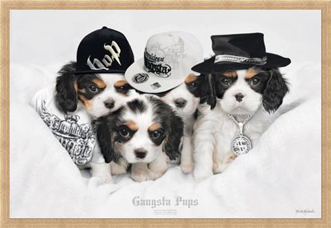 Framed Framed Gangsta Pups - Keith Kimberlin