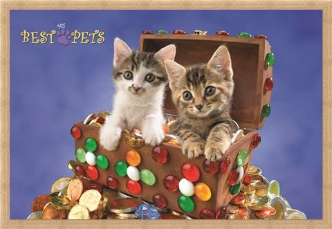 Framed Framed Kitten Treasure - My Best Pets