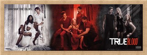 Framed Framed Show Your Colours - True Blood Montage