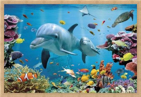 Framed Framed Underwater Dolphin Fantasy - Tropical Dolphins