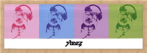 Framed Framed DJ Doggie Quad - Steez