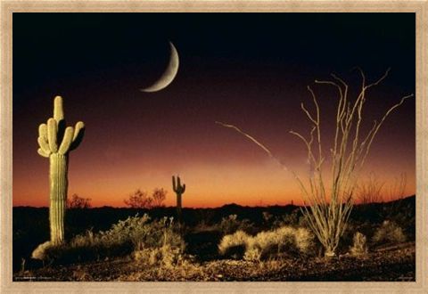 Framed Framed Desert Silhouette - Arizona Landscape