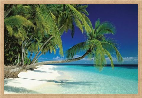 Framed Framed Maldives Beach and Sea - Palm Trees on a Tropical Island Paradise