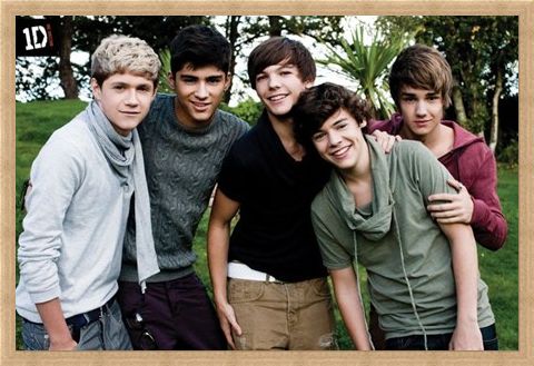 Framed Framed Beautiful Boys in the Garden - One Direction