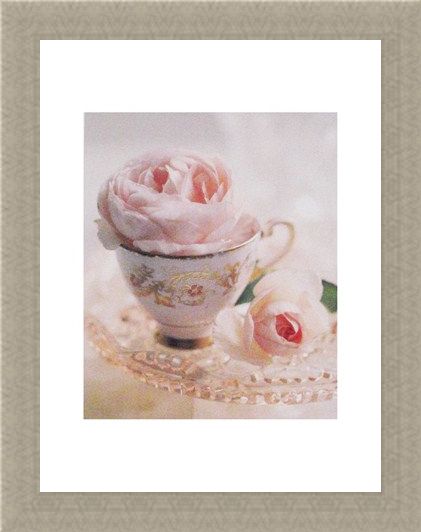 Framed Framed Pale Pink II - Lina Ricci