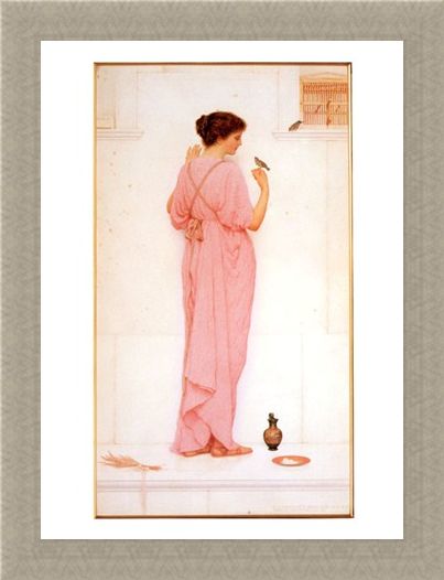 Framed Framed Song Birds - George Lawrence Bulleid