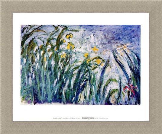 Framed Framed Campo Di Fiori Gialli - Claude Monet