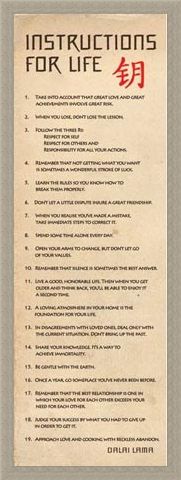 Framed Framed Instructions for Life - According to the Dalai Lama