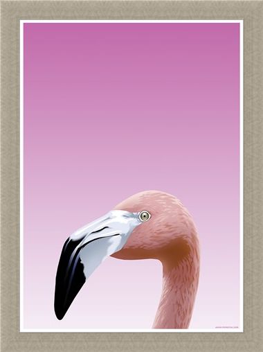 Framed Framed Flamboyant Flamingo - Inquisitive Creatures