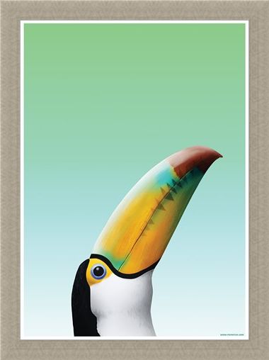 Framed Framed Toucan - Inquisitive Creatures