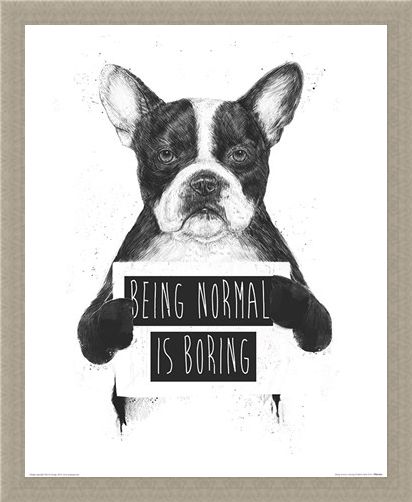Framed Framed Being Normal Is Boring - Balazs Solti