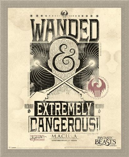 Framed Framed Extremely Dangerous - Fantastic Beasts