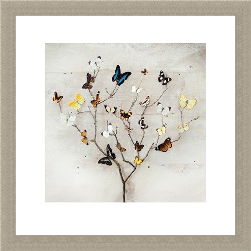 Framed Framed Tree of Butterflies - Ian Winstanley