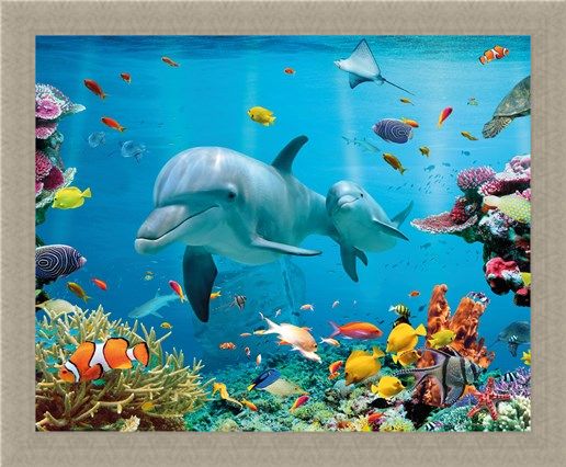 Framed Framed Tropical Ocean - Sea Creatures