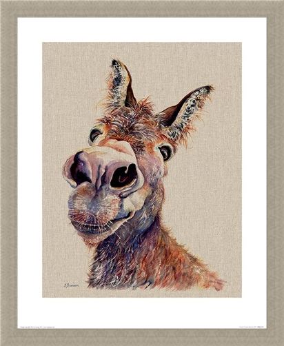 Framed Framed Doreen - Jane Bannon